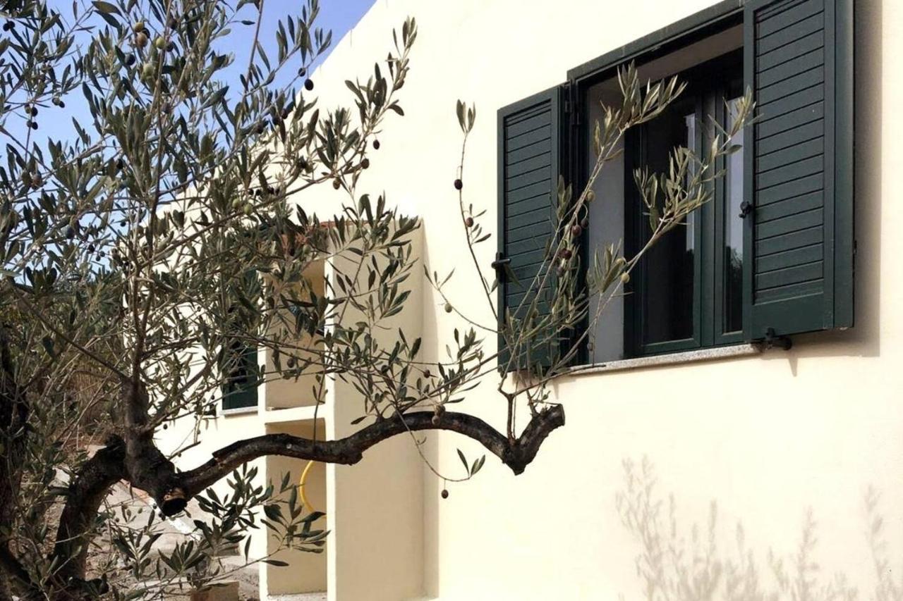 Villa Ulivella Schifoni Exteriér fotografie
