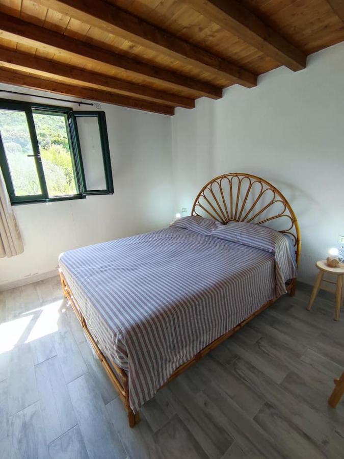 Villa Ulivella Schifoni Exteriér fotografie
