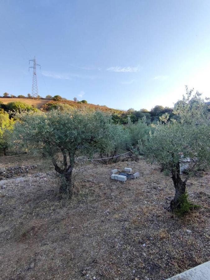 Villa Ulivella Schifoni Exteriér fotografie