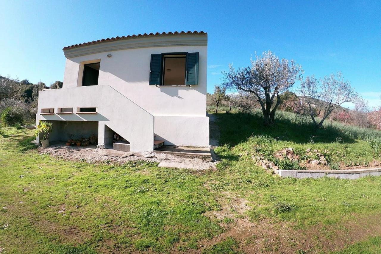Villa Ulivella Schifoni Exteriér fotografie