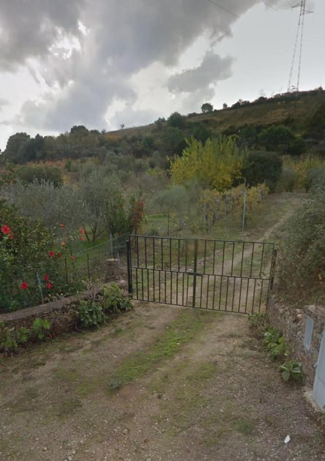 Villa Ulivella Schifoni Exteriér fotografie