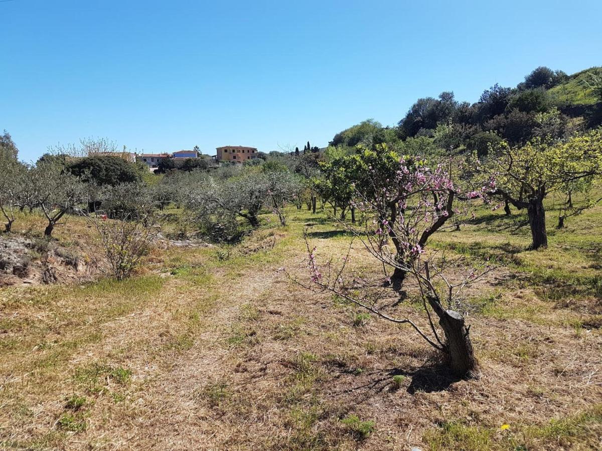 Villa Ulivella Schifoni Exteriér fotografie