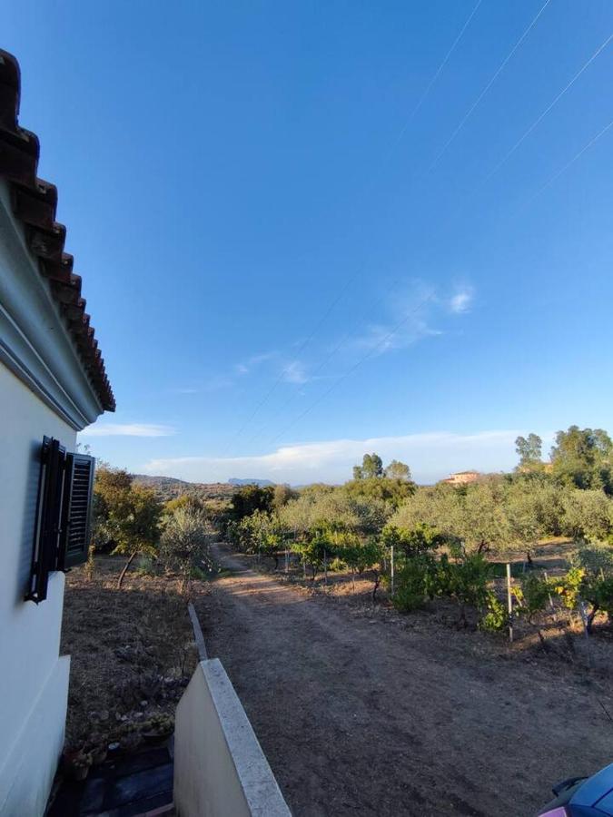 Villa Ulivella Schifoni Exteriér fotografie