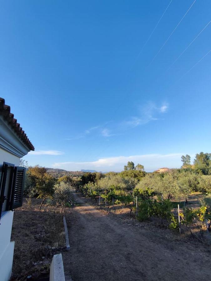 Villa Ulivella Schifoni Exteriér fotografie